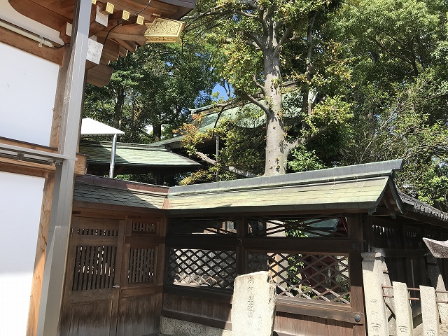 菅原神社（上野天神宮）　本殿
