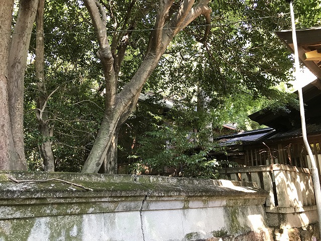 貴船神社(関市)　本殿