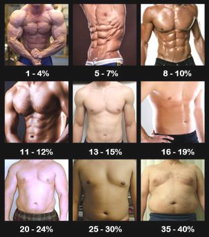 体 脂肪 率 15 パーセント 男性