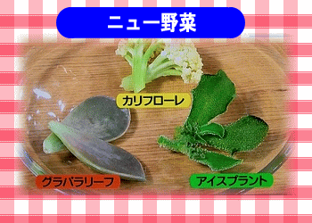 ニュー野菜