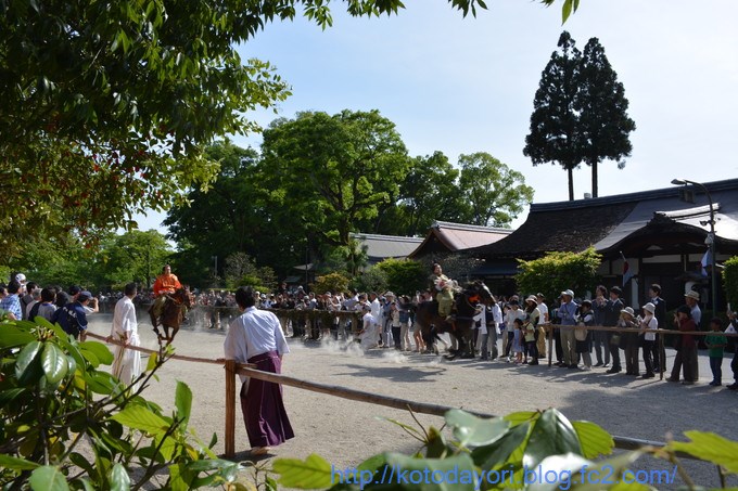 20160505上賀茂神社