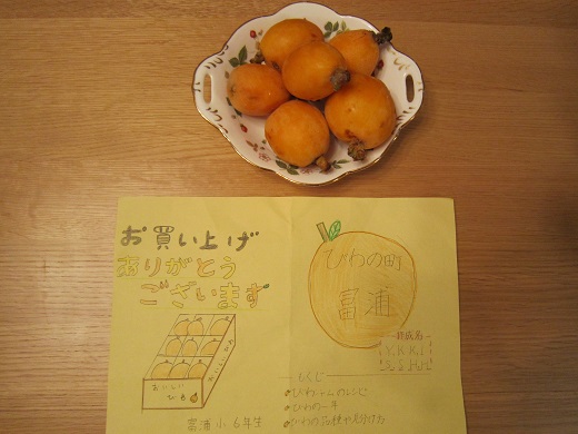 富浦小学校で栽培されたビワ