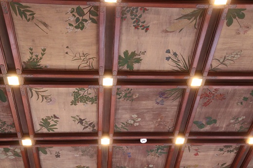 格天井に描かれた植物の絵