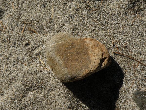 上高地の河原で見つけたハート形の石
