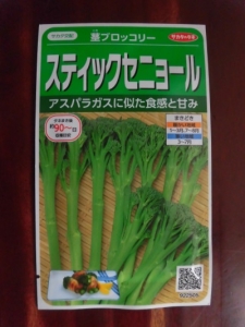 茎ブロッコリー　スチックセニョール